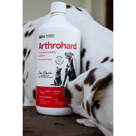 Lab-v Arthrohard - Kompleksowe wsparcie zdrowia stawów dla psów i kotów 250 ml